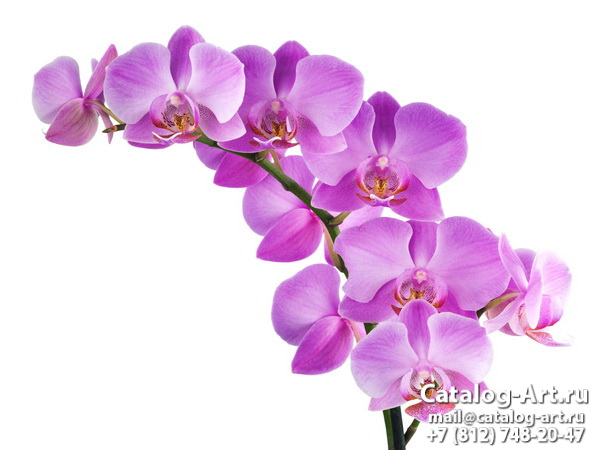 картинки для фотопечати на потолках, идеи, фото, образцы - Потолки с фотопечатью - Розовые орхидеи 62